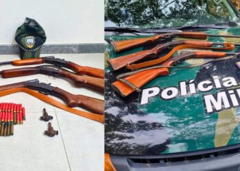 São Roque do Canaã: homem é detido com armas após denúncia anônima ao 181 - Fotos: Polícia Ambiental/ES