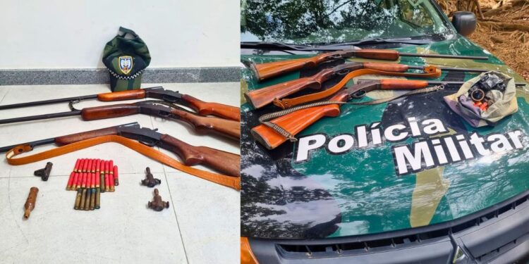 São Roque do Canaã: homem é detido com armas após denúncia anônima ao 181 - Fotos: Polícia Ambiental/ES