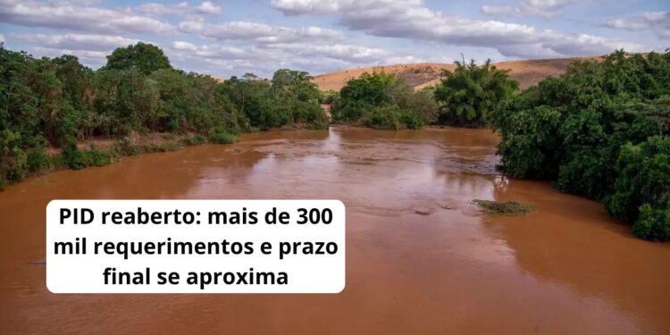 PID reaberto: mais de 300 mil requerimentos e prazo final se aproxima - Foto: Leonardo Merçon/Instituto Últimos Refúgios/Divulgação