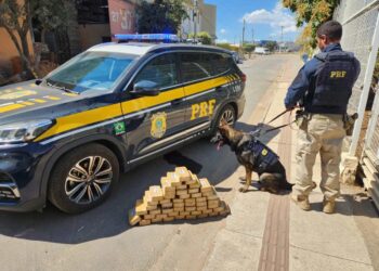 PRF apreende 52 kg de pasta base de cocaína na BR-259, em Baixo Guandu - Foto: PRFES