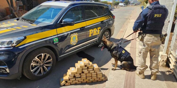 PRF apreende 52 kg de pasta base de cocaína na BR-259, em Baixo Guandu - Foto: PRFES