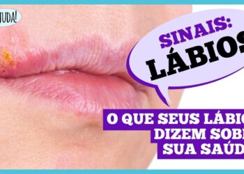 Foto: Dr. Ajuda!/divulgação