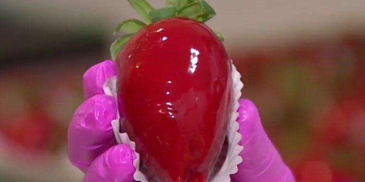 Pratos virais geram oportunidades de faturamento para empreendedores - Foto: Wikipedia Commons