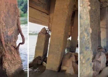 CREA-ES identifica falhas na Ponte Florentino Avidos - Foto: Montagem Colatina em Ação