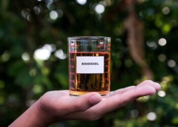 Dia internacional do biodiesel e a importância da sustentabilidade - Foto: Reprodução