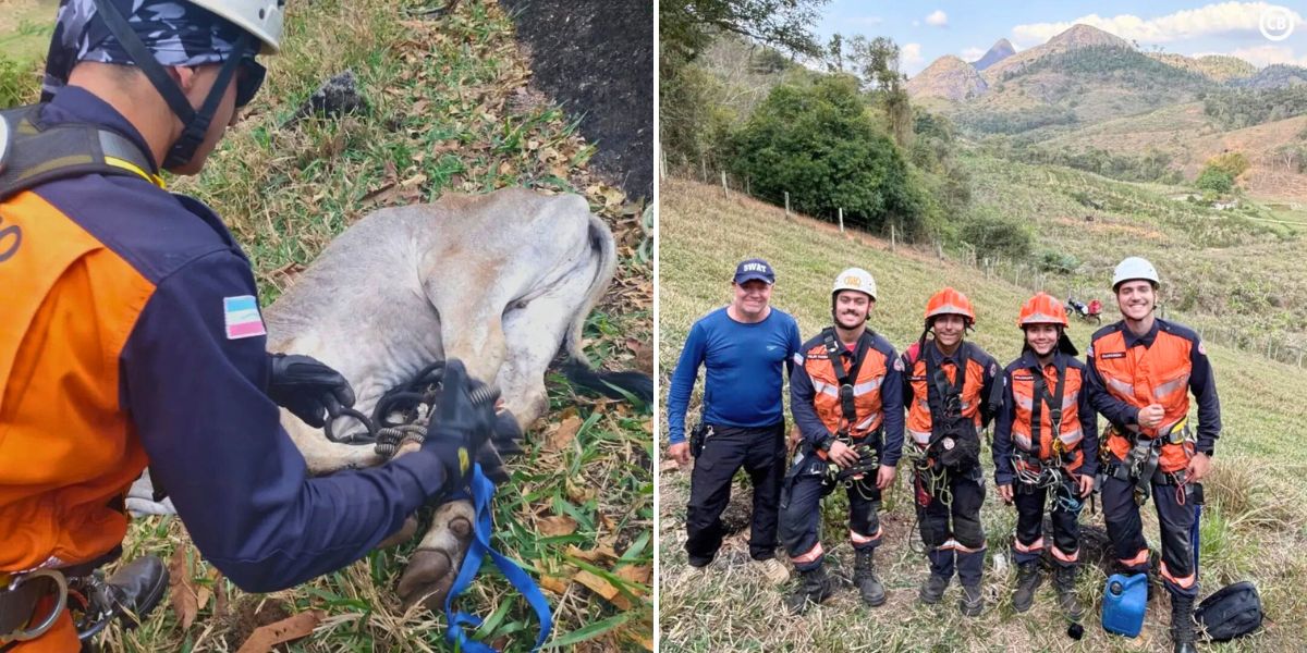 Como bombeiros resgataram um bezerro preso em uma rocha no ES - Fotos: 3ª Cia Ind - Bombeiros