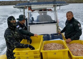 1 tonelada de camarão sete-barbas é apreendida em operação ambiental no ES - Foto: PMES/AMBIENTAL
