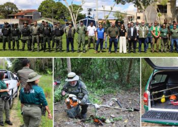 Operação Mata Atlântica em Pé: fiscalização mobiliza 17 estados brasileiros - Fotos: MPES