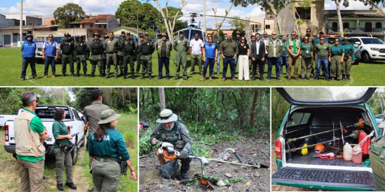 Operação Mata Atlântica em Pé: fiscalização mobiliza 17 estados brasileiros - Fotos: MPES