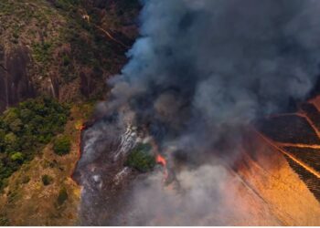 Incêndio em Pancas causado por morador que queimou lixo atinge café e mata nativa - Foto: Defesa Civil Pancas