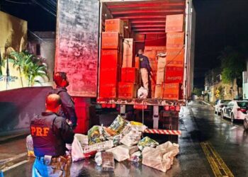 Carga de panetones que iria para Colatina escondia 780 kg de droga - Foto: PRF