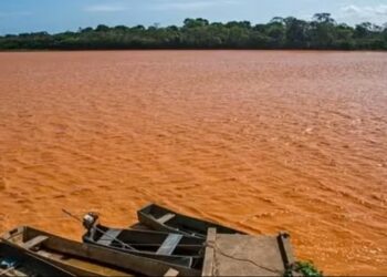 PID entra na reta final: faltam apenas 10 dias para ingresso - Foto: Divulgação