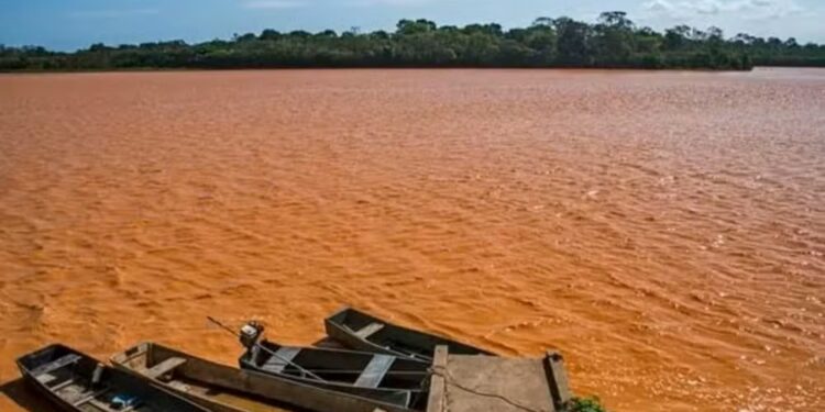 PID entra na reta final: faltam apenas 10 dias para ingresso - Foto: Divulgação