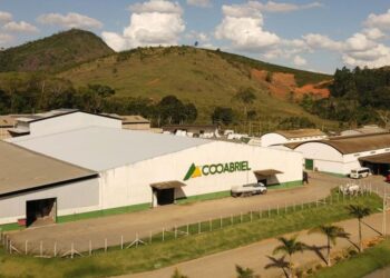 Cooabriel lança projeto-piloto de cacau na Bahia em parceria com a Cargill. Foto: divulgação