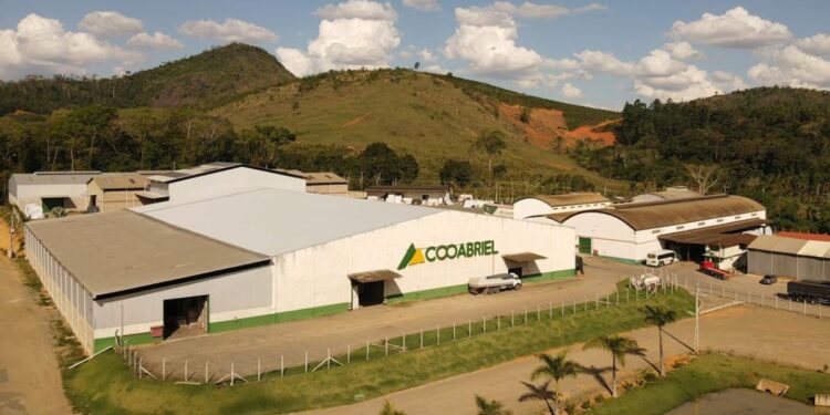 Cooabriel lança projeto-piloto de cacau na Bahia em parceria com a Cargill. Foto: divulgação