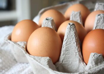 Lavar ou não lavar os ovos? Especialista alerta para riscos da prática - Foto: Divulgação