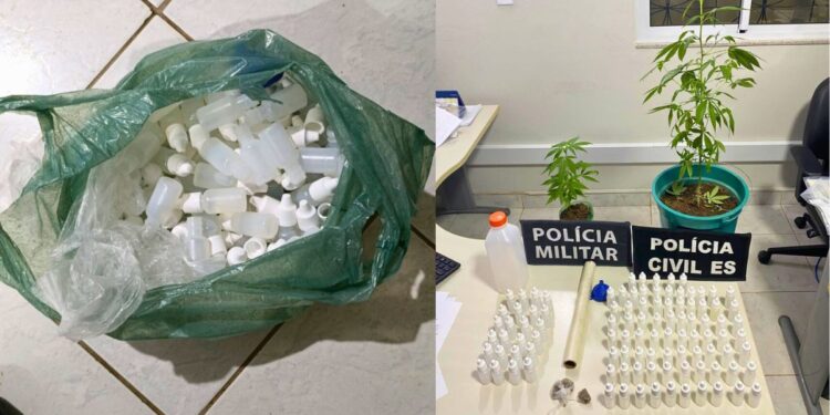 Marilândia: homem é preso e adolescente apreendido com drogas e pés de maconha - Fotos: PCES