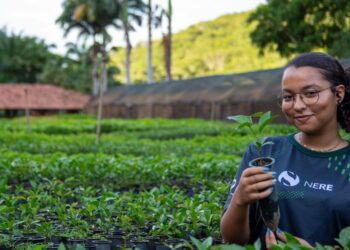 Instituto Terra abre inscrições para curso gratuito de restauração ambiental em 2026. Foto: Lucas Barcelos