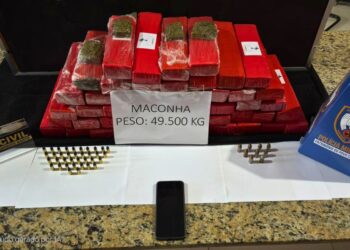 Homem é preso com 50 kg de maconha e munições em Barra de São Francisco - Foto: PCES