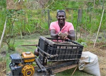 Capixaba leva inovação na cafeicultura para a InnovaCities 2025 em Foz do Iguaçu - Foto: Reprodução
