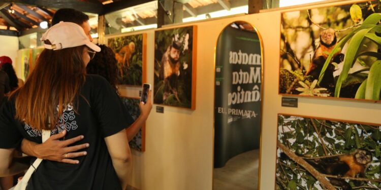 Exposição “Primatas da Mata Atlântica” chega ao Instituto Terra, em Aimorés.MG - Fotos: Thiago Amorim