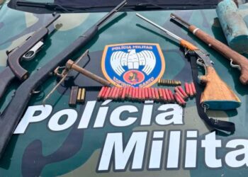 Operação apreende armas usadas em caça ilegal na Reserva Natural Vale, em Linhares - Foto: Polícia Ambiental