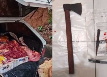 Fundão: Dupla é presa com carne de cavalo que seria vendida na Grande Vitória - Foto: PCES