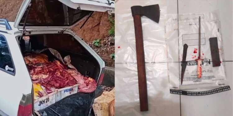 Fundão: Dupla é presa com carne de cavalo que seria vendida na Grande Vitória - Foto: PCES