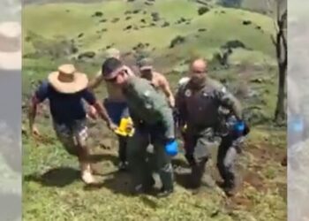Homem cai de cavalo no Sul do ES e é socorrido em estado grave pelo Notaer - Foto: Reprodução