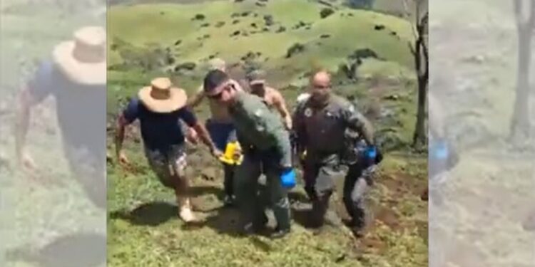 Homem cai de cavalo no Sul do ES e é socorrido em estado grave pelo Notaer - Foto: Reprodução