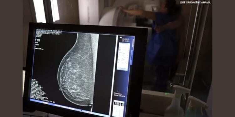 Outubro Rosa em Colatina: atendimentos noturnos, palestras e exames em toda a cidade - Foto: José Cruz/Agência Brasil