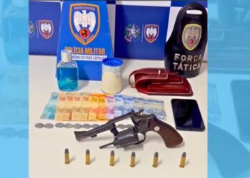 Suspeito de furtos na zona rural de Colatina é detido com arma de fogo - Foto: PMES