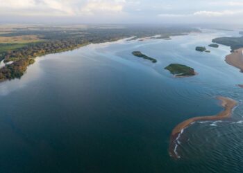 Samarco investe R$ 278 milhões em monitoramento da biodiversidade na Bacia do Rio Doce - Foto: Divulgação
