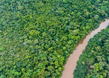 Rastreando perigos ambientais com as mais recentes imagens de satélite da EOS Data Analytics - Foto: Reprodução
