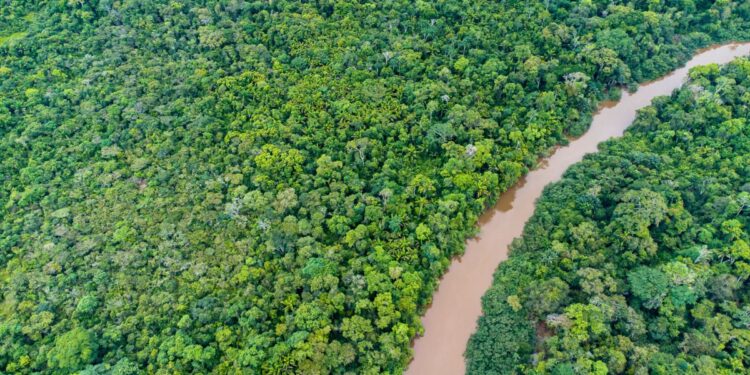 Rastreando perigos ambientais com as mais recentes imagens de satélite da EOS Data Analytics - Foto: Reprodução