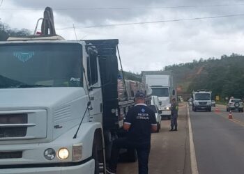 Sefaz Colatina: Fiscalização de Mercadorias em Trânsito Resulta em Multa de R$ 7,3 mil - Foto: Sefaz