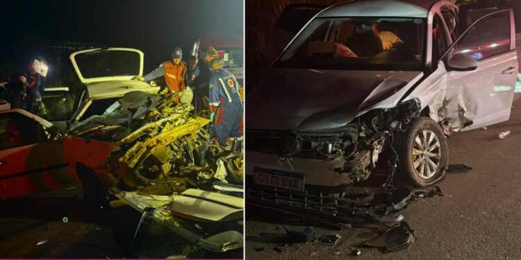 Cavalo na pista causa colisão com dois carros na Rodovia do Café em Colatina - Fotos: Rede Social