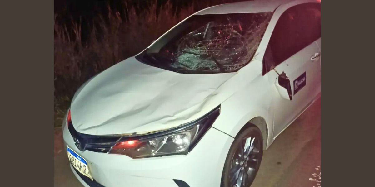 Veículo Corolla também foi atingido por animal na pista - Foto: Rede Social