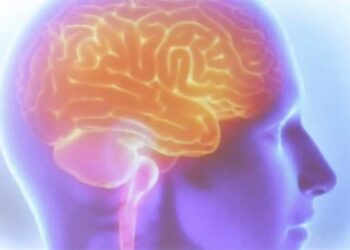 A cada 6 minutos, uma pessoa morre de AVC no Brasil, revela estudo - Foto: Tânia Rêgo/Agência Brasil