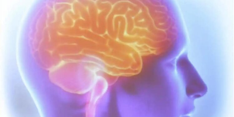 A cada 6 minutos, uma pessoa morre de AVC no Brasil, revela estudo - Foto: Tânia Rêgo/Agência Brasil