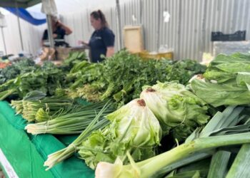 Colatina inicia Programa Compra Direta de Alimentos com foco em Agricultura Familiar - Foto: Secom/Colatina