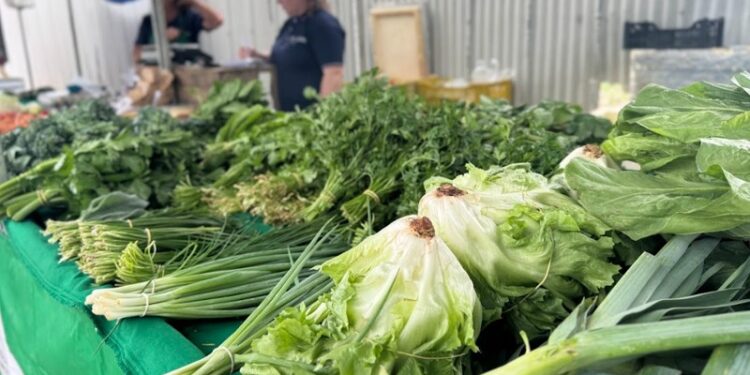 Colatina inicia Programa Compra Direta de Alimentos com foco em Agricultura Familiar - Foto: Secom/Colatina