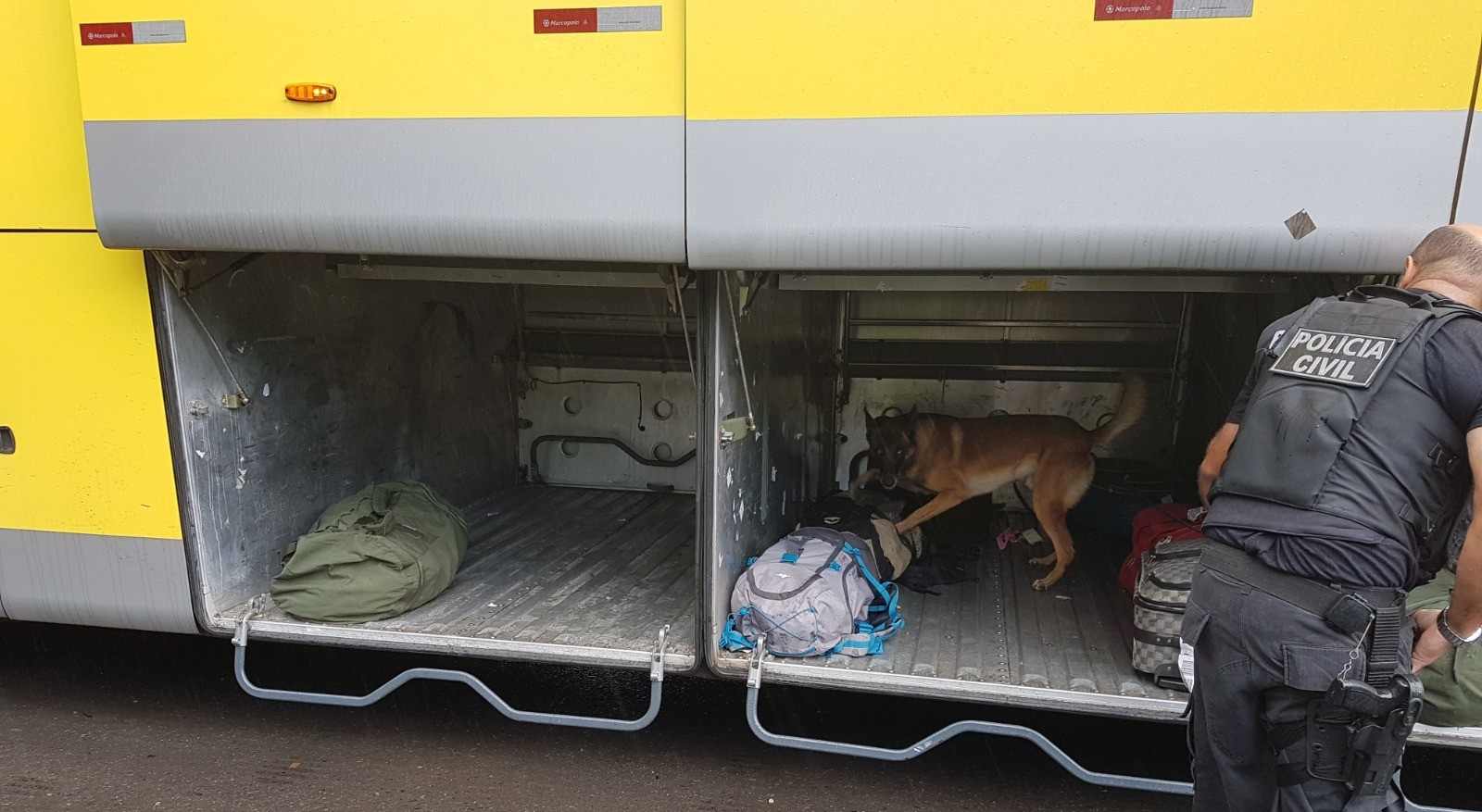 Zack, o cão que ajudou a combater o tráfico no ES, morre aos 14 anos - Foto: PCES