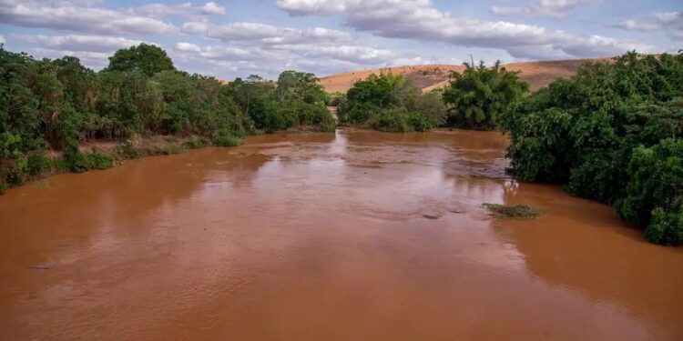 Justiça inglesa condena BHP e abre caminho para indenizações no ES até 2027 - Foto: eonardo Merçon/Instituto Últimos Refúgios/Divulgação