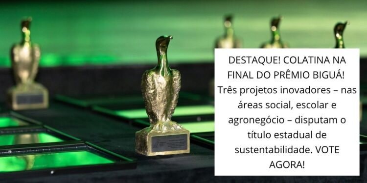 Prêmio Biguá: votação aberta! Colatina é destaque com 3 projetos sustentáveis