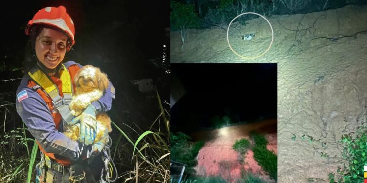 Resgate de cão mobiliza bombeiros em Colatina - Foto: Bombeiros Colatina