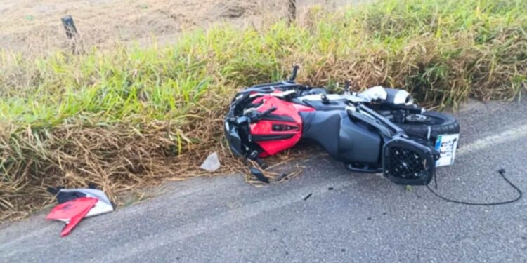 Linhares: jovem morre em colisão com vaca na ES-245 - Foto: Rede Social