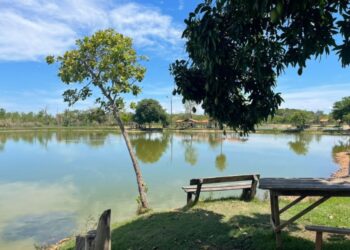 Os pesque e pague como experiência de lazer ganham força ao unir gastronomia regional, natureza e estrutura completa para um dia tranquilo em família. - Foto: Divulgação Jango Pesque Pague Abrasel