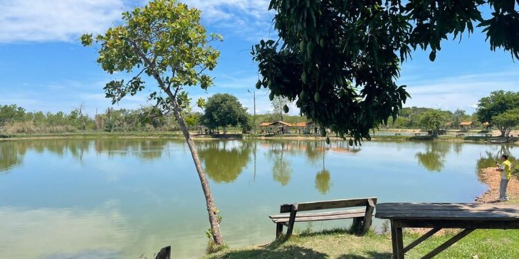 Os pesque e pague como experiência de lazer ganham força ao unir gastronomia regional, natureza e estrutura completa para um dia tranquilo em família. - Foto: Divulgação Jango Pesque Pague Abrasel