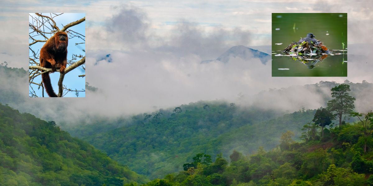 Fotos de capixaba estampam selos de homenagem a Sebastião Salgado - Foto: Leonardo Merçon